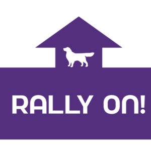 Rally ON - 4 kleuren