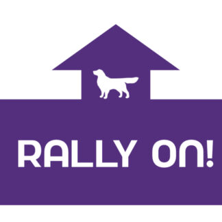 Rally ON - 4 kleuren