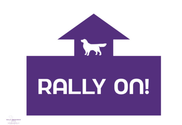 Rally ON - 4 kleuren