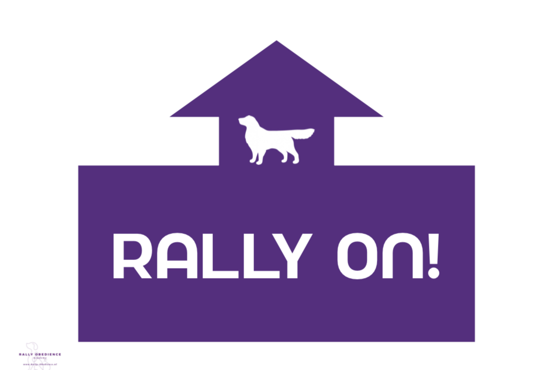 Rally ON - 4 kleuren