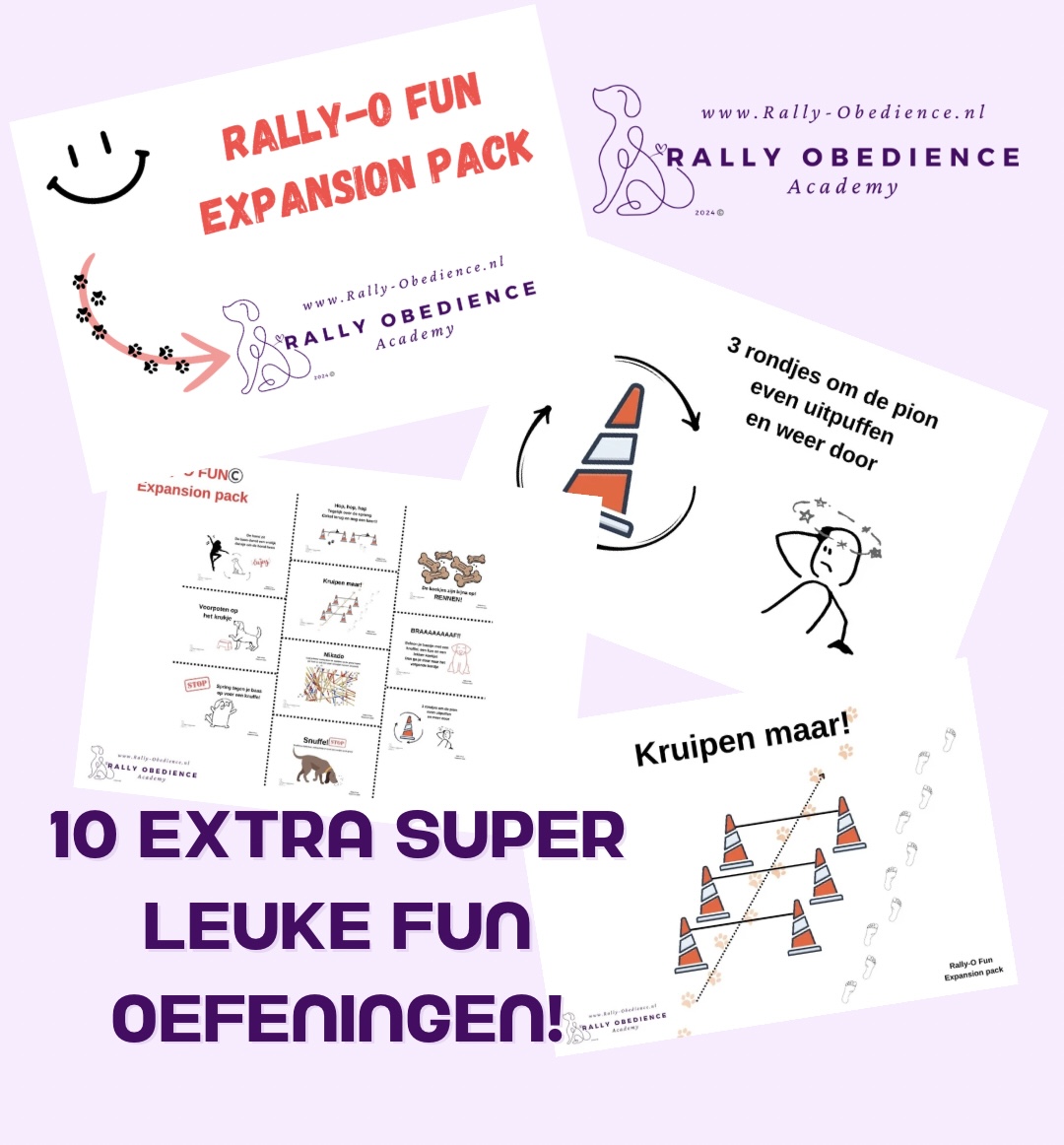 FUN Expansion - Afbeelding 2