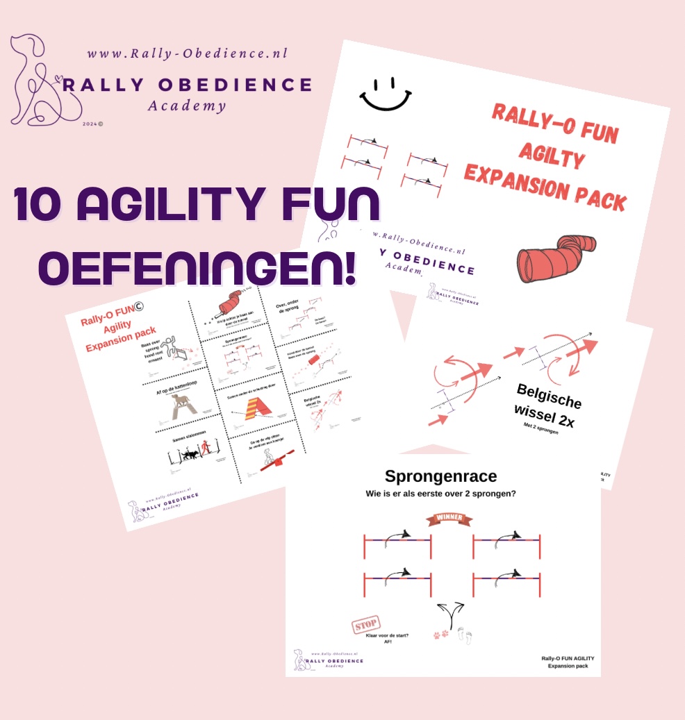 FUN - AGILITY Expansion - Afbeelding 2