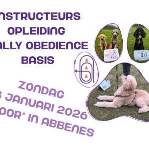 18-1-2026 Basis Instructeurs opleiding - Abbenes *Indoor*