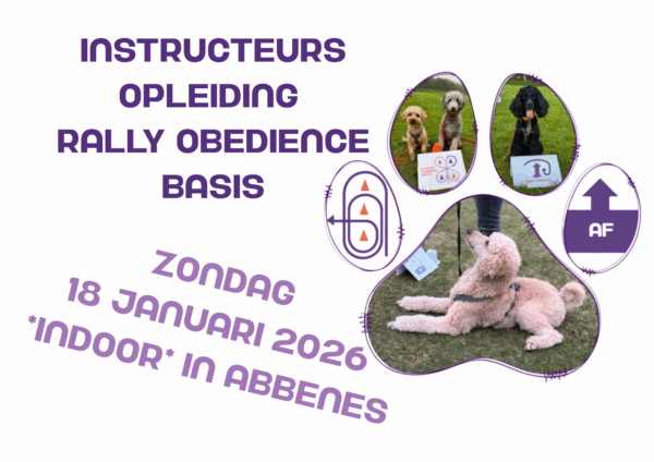 18-1-2026 Basis Instructeurs opleiding - Abbenes *Indoor*