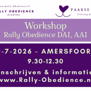 11-7-2026 Workshop Rally-O DAI, AAI - 9.30