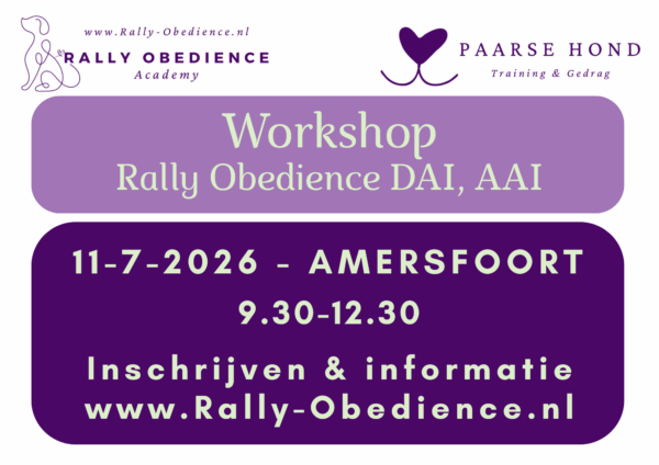 11-7-2026 Workshop Rally-O DAI, AAI - 9.30