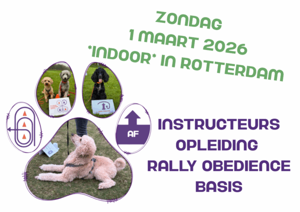 1-3-2026 Basis Instructeurs opleiding - Rotterdam *Indoor*