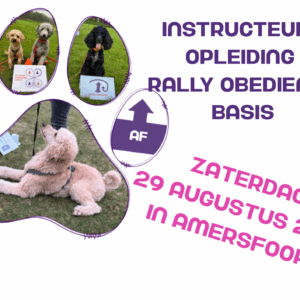 29-8-2026 Basis Instructeurs opleiding - Amersfoort