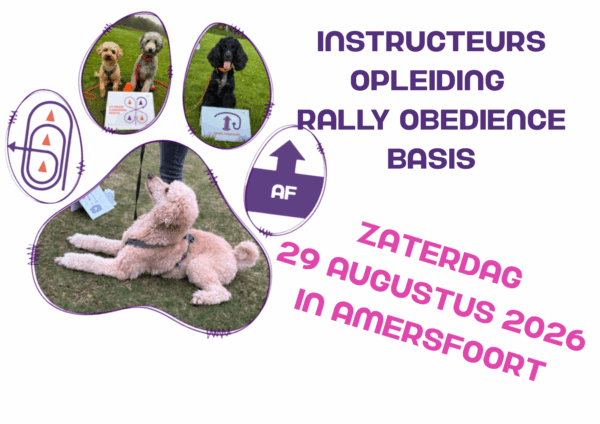 29-8-2026 Basis Instructeurs opleiding - Amersfoort