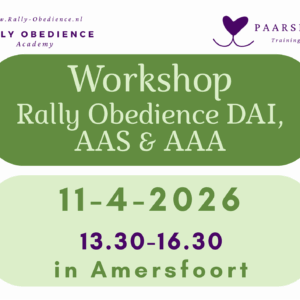 11-4-2026 Workshop Rally-O DAI, AAS, AAA - 13.30
