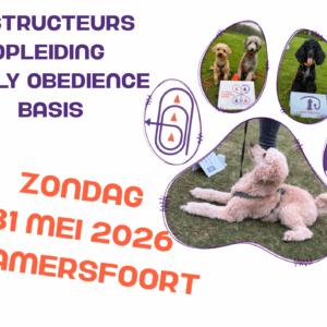31-5-2026 Basis Instructeurs opleiding - Amersfoort