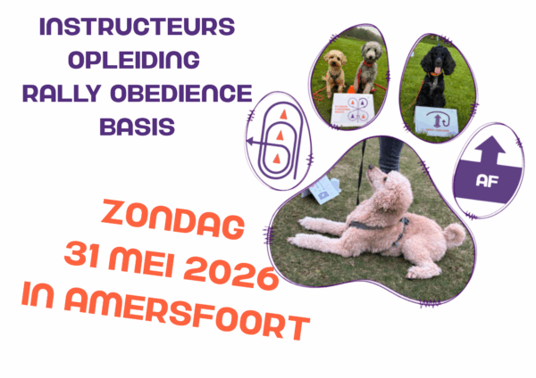 31-5-2026 Basis Instructeurs opleiding - Amersfoort