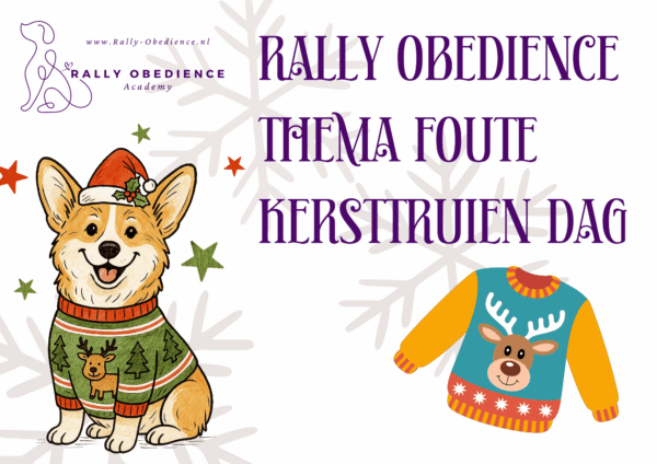 Thema FOUTE KERSTTRUIEN