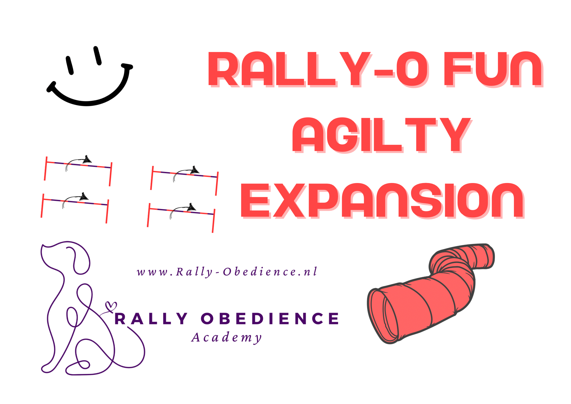 FUN - AGILITY Expansion