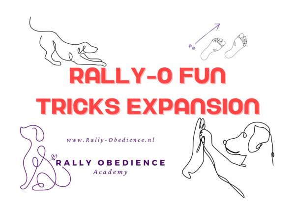 FUN - TRICKS expansion