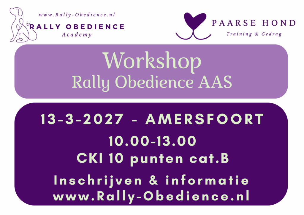 13-3-2027 Workshop Rally-O AAS - 10.00