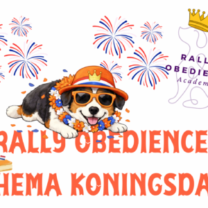 *Verwacht!* Thema KONINGSDAG