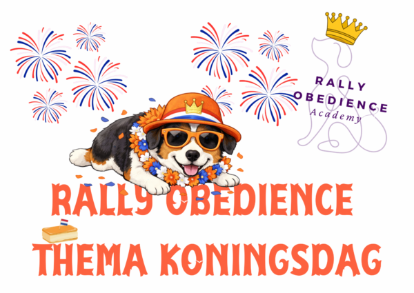 *Verwacht!* Thema KONINGSDAG