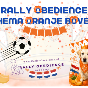 Thema ORANJE BOVEN