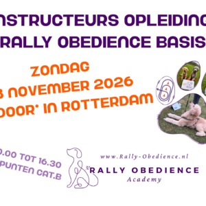 8-11-2026 Basis Instructeurs opleiding - Rotterdam *Indoor*