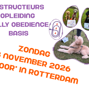 8-11-2026 Basis Instructeurs opleiding - Rotterdam *Indoor*