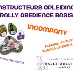 Basis Instructeurs opleiding - incompany